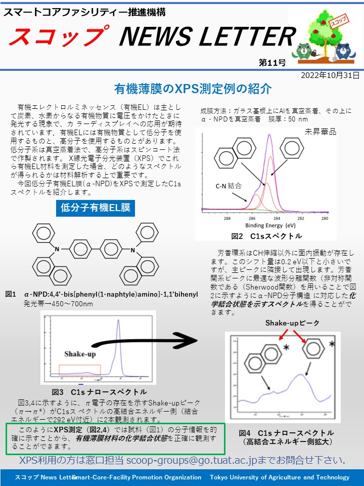 scoop-news-letter-vol-11